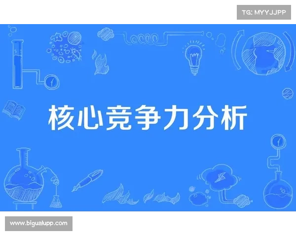 如何全面评估房地产企业的综合发展能力及其核心竞争力分析